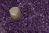 Dark Purple Amethyst Geode with Stand - Amazing Display #351511-5